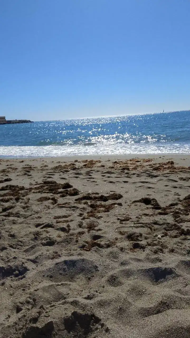 IMG-20240616-WA0000.webp
