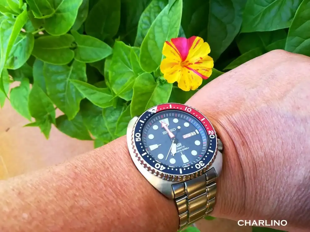 IMG-20240623-185841.webp