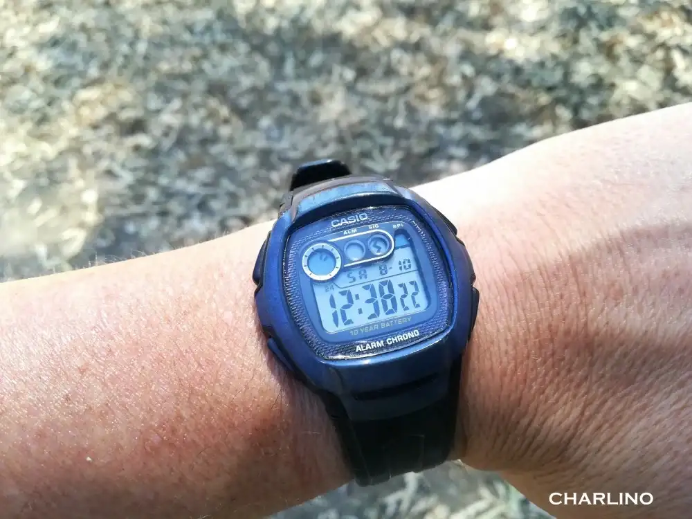 IMG-20240810-123826.webp