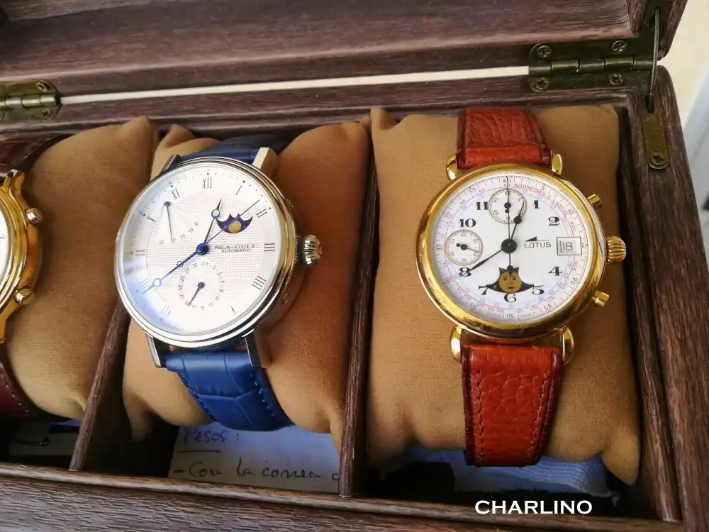 IMG-20240918-123906.webp