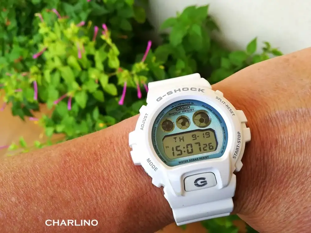IMG-20240919-150724.webp