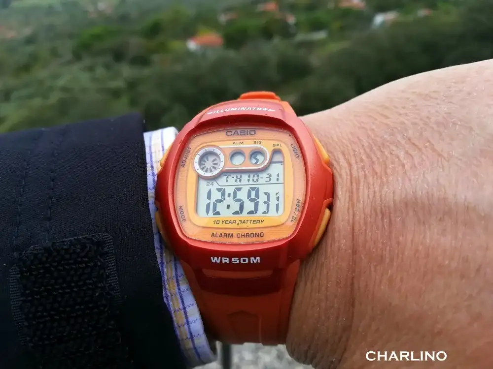 IMG-20241031-125930.webp