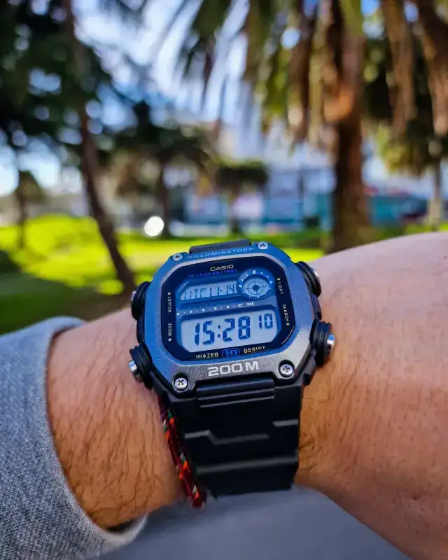 IMG-20241114-180311-219.webp