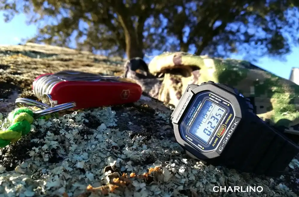 IMG-20241207-152522-2.webp