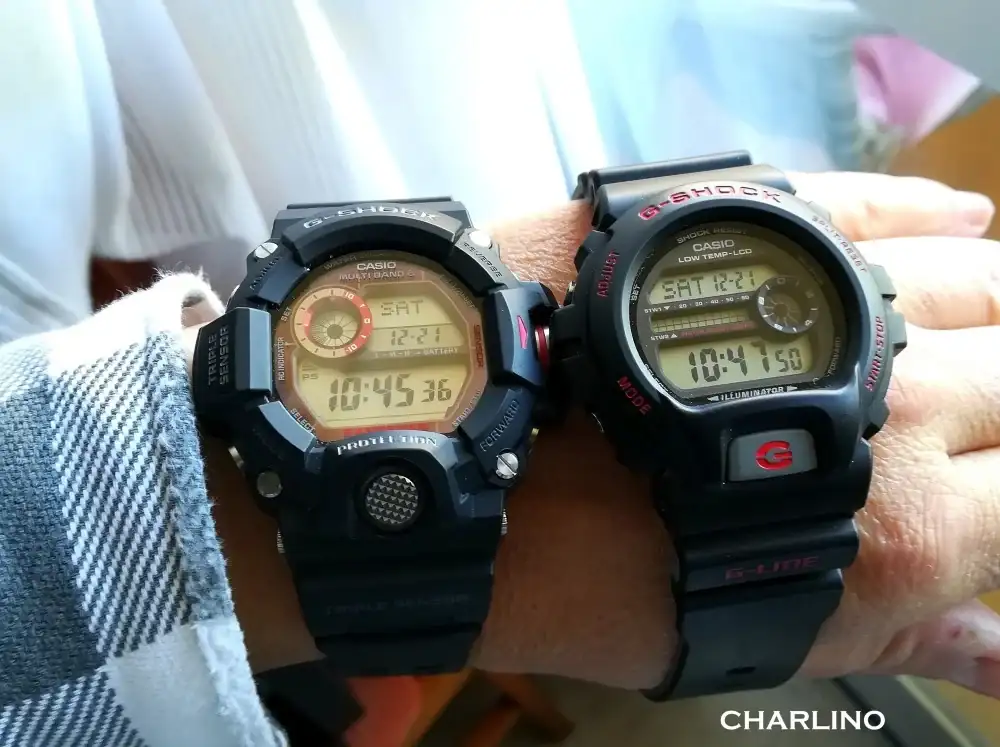 IMG-20241221-104536.webp