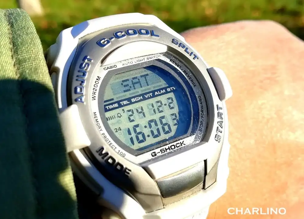 IMG-20241221-160629-1.webp