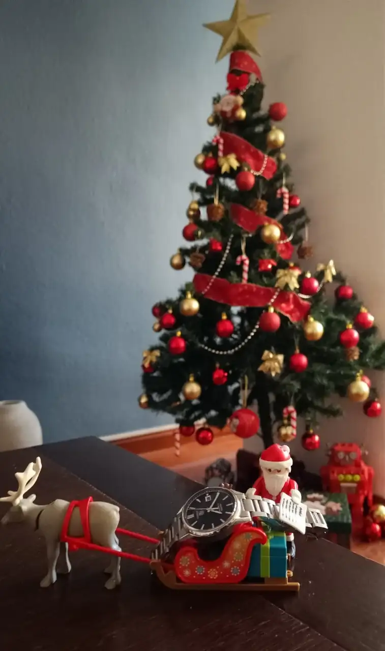 IMG-20241222-WA0011~2.webp