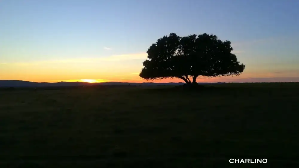 IMG-20250101-181600.webp