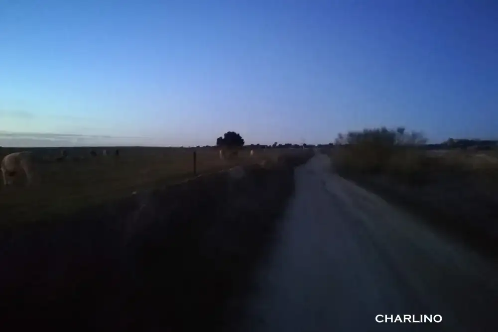 IMG-20250101-184247.webp