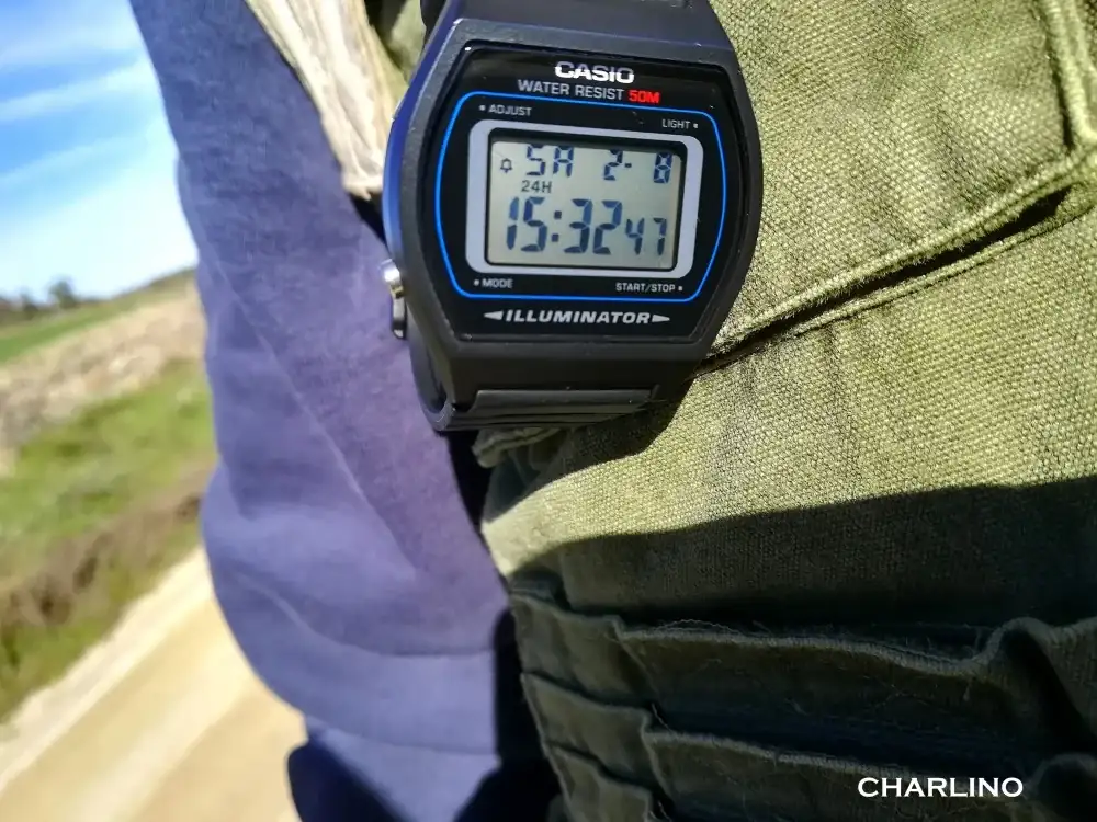 IMG-20250208-153240.webp