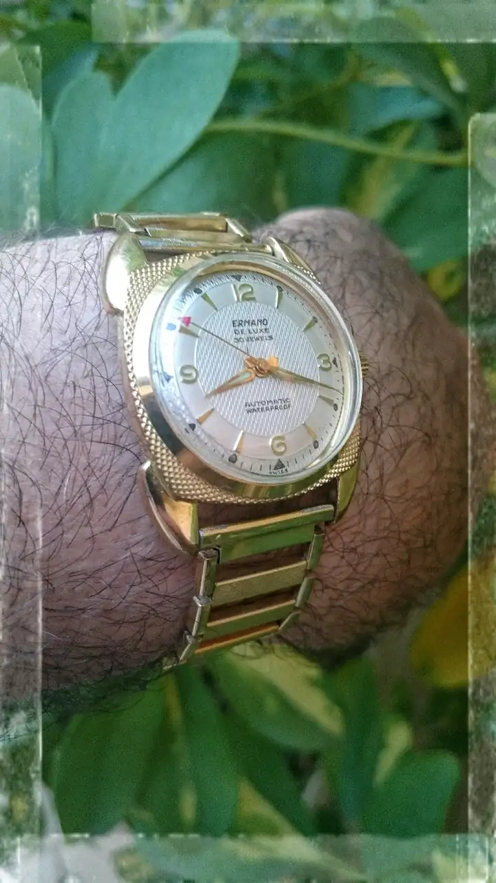 IMG-20250310-WA0003.webp
