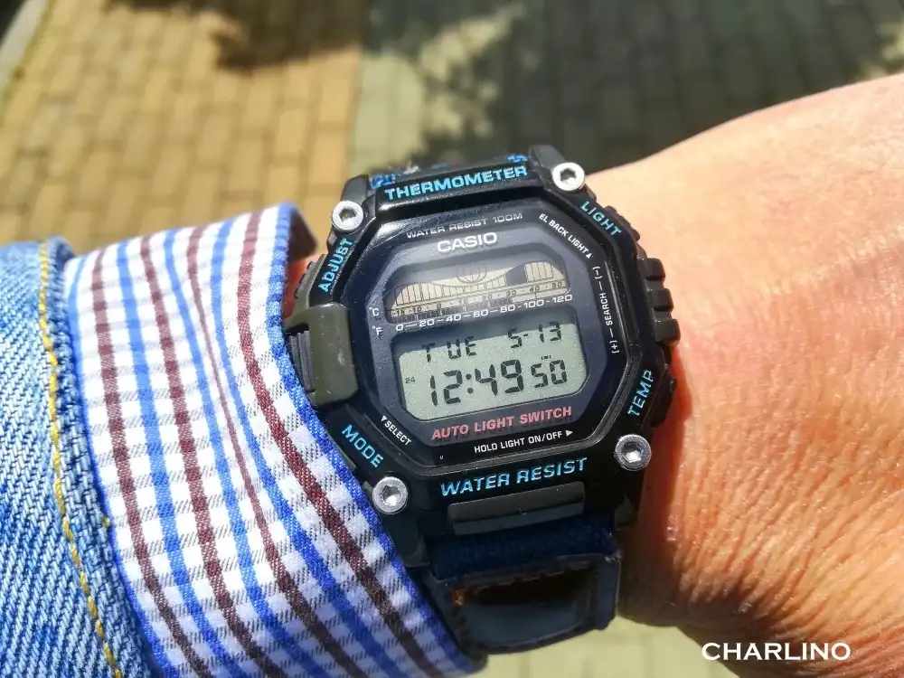 IMG-20250513-124919.webp