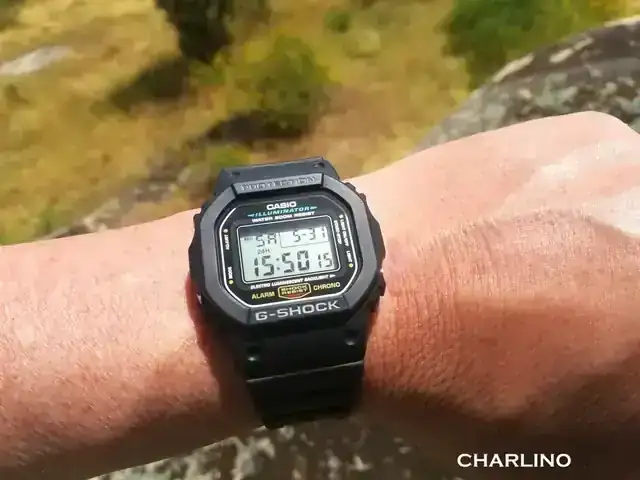 IMG-20250531-155012.webp
