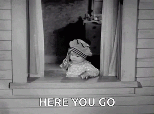 IMG-2393.gif