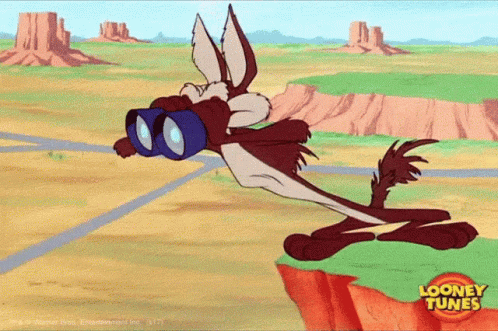 IMG-2395.gif