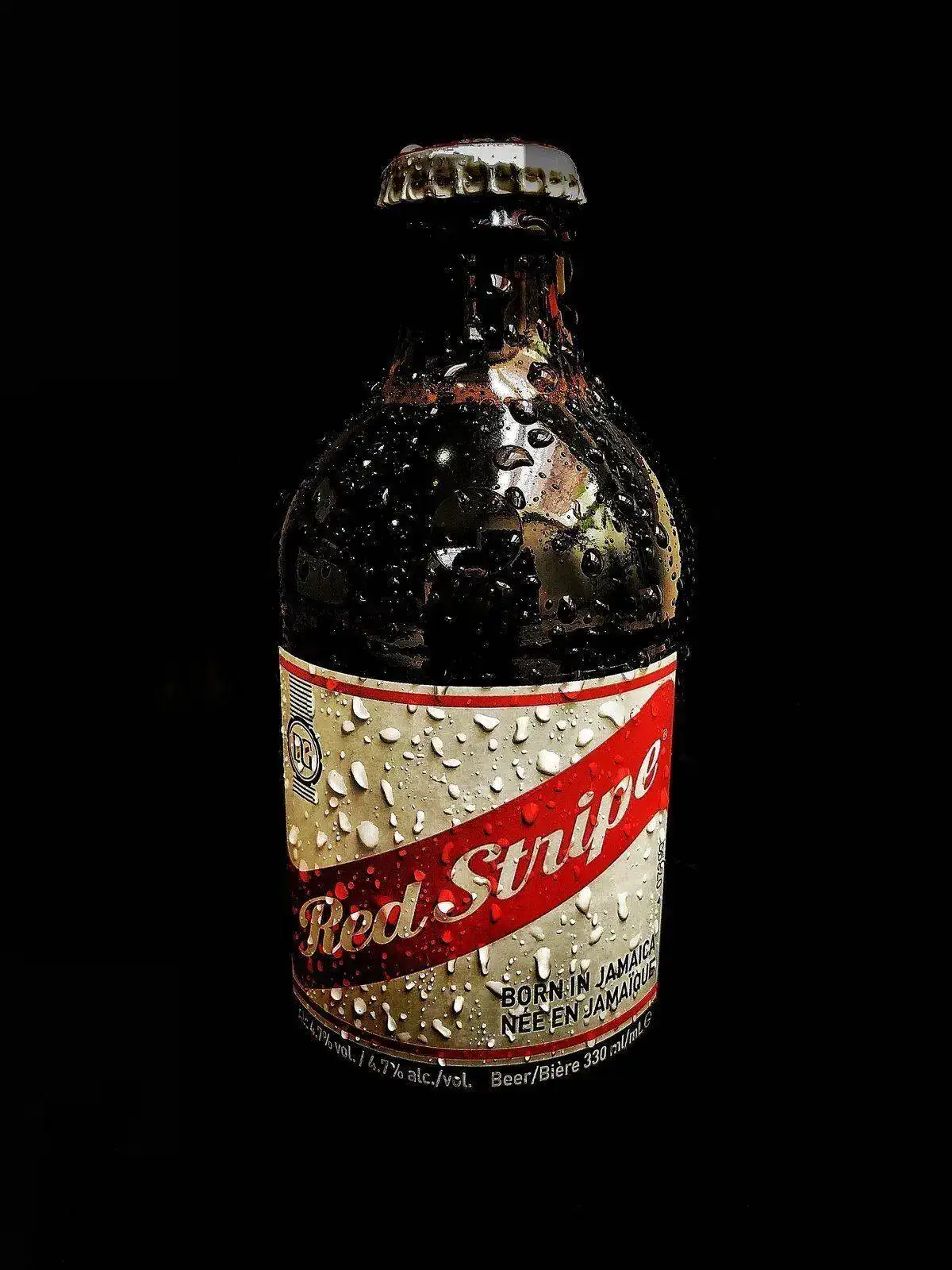 IMG-2781-01-01.webp