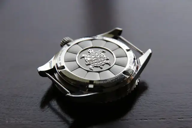 IMG-8429b.webp