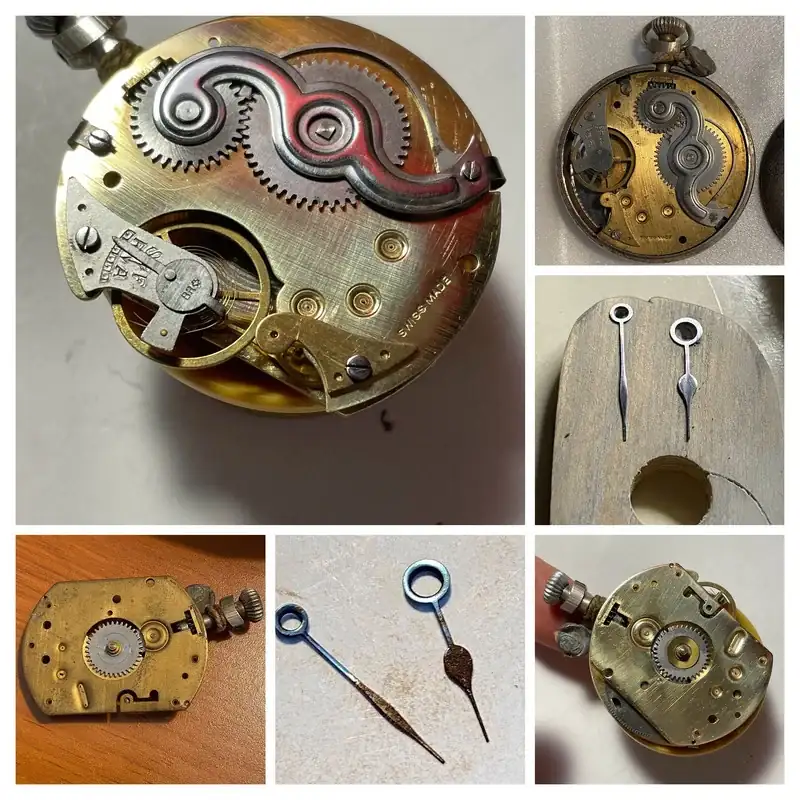IMG-9059-COLLAGE.webp