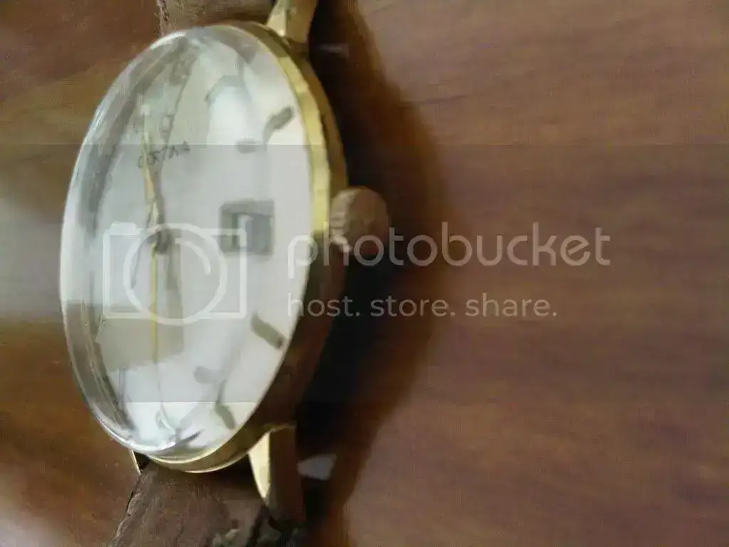 IMG00099-20101115-1128.webp