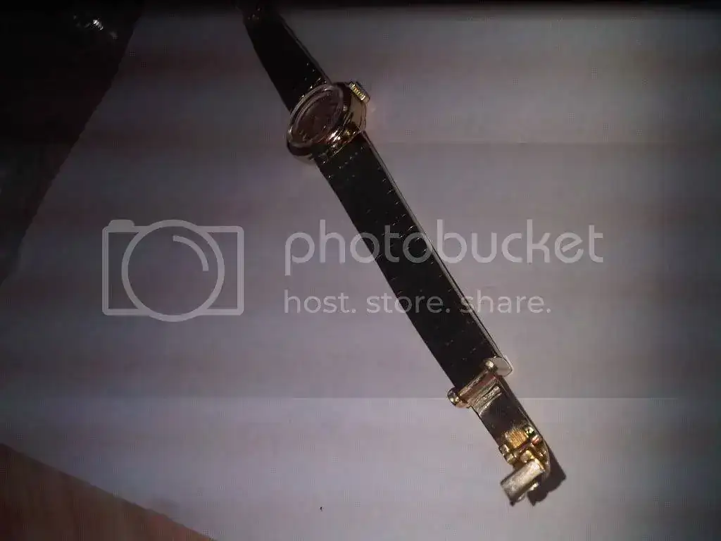 IMG00190-20101230-2008.webp