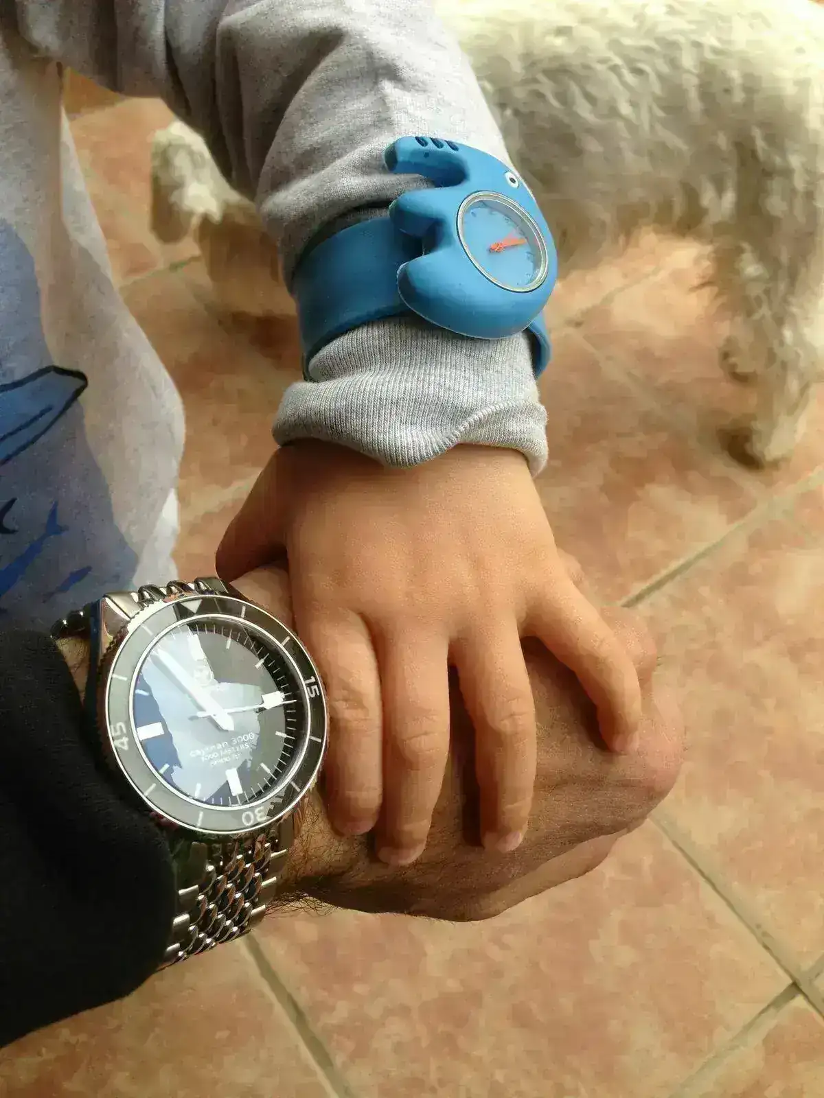 img0844bp.webp