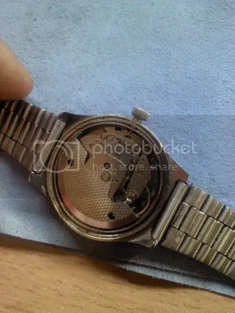 IMG1181_zps12d33646.webp