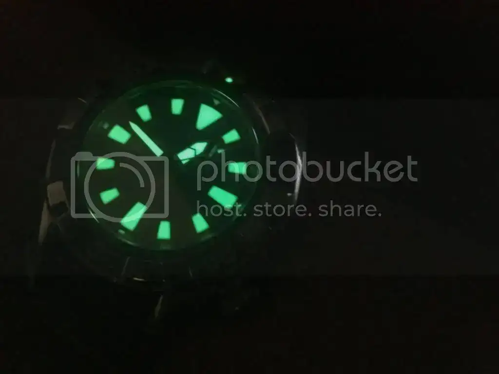 IMG1552_zps62978208.webp