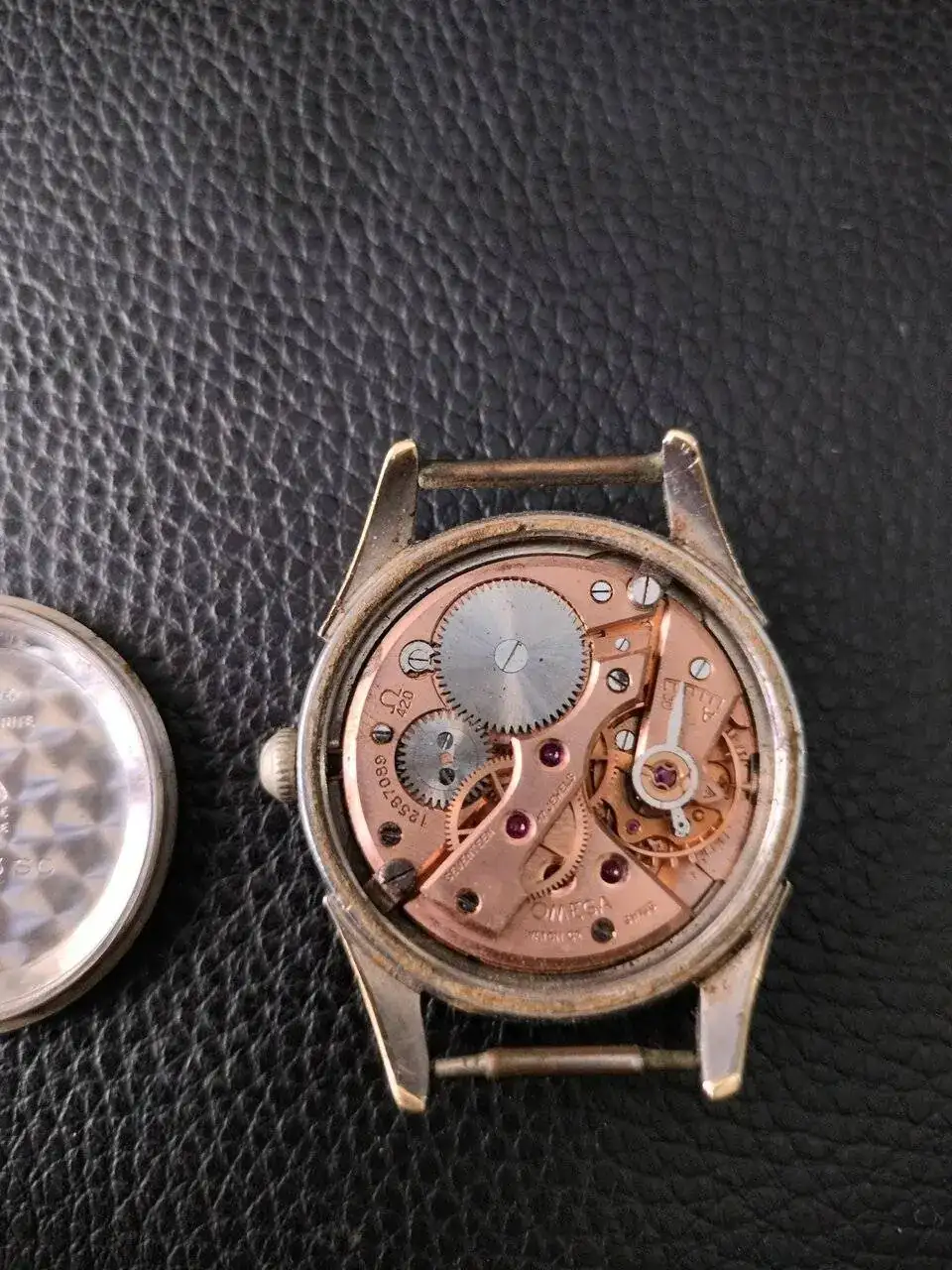 IMG20230922155619.jpg