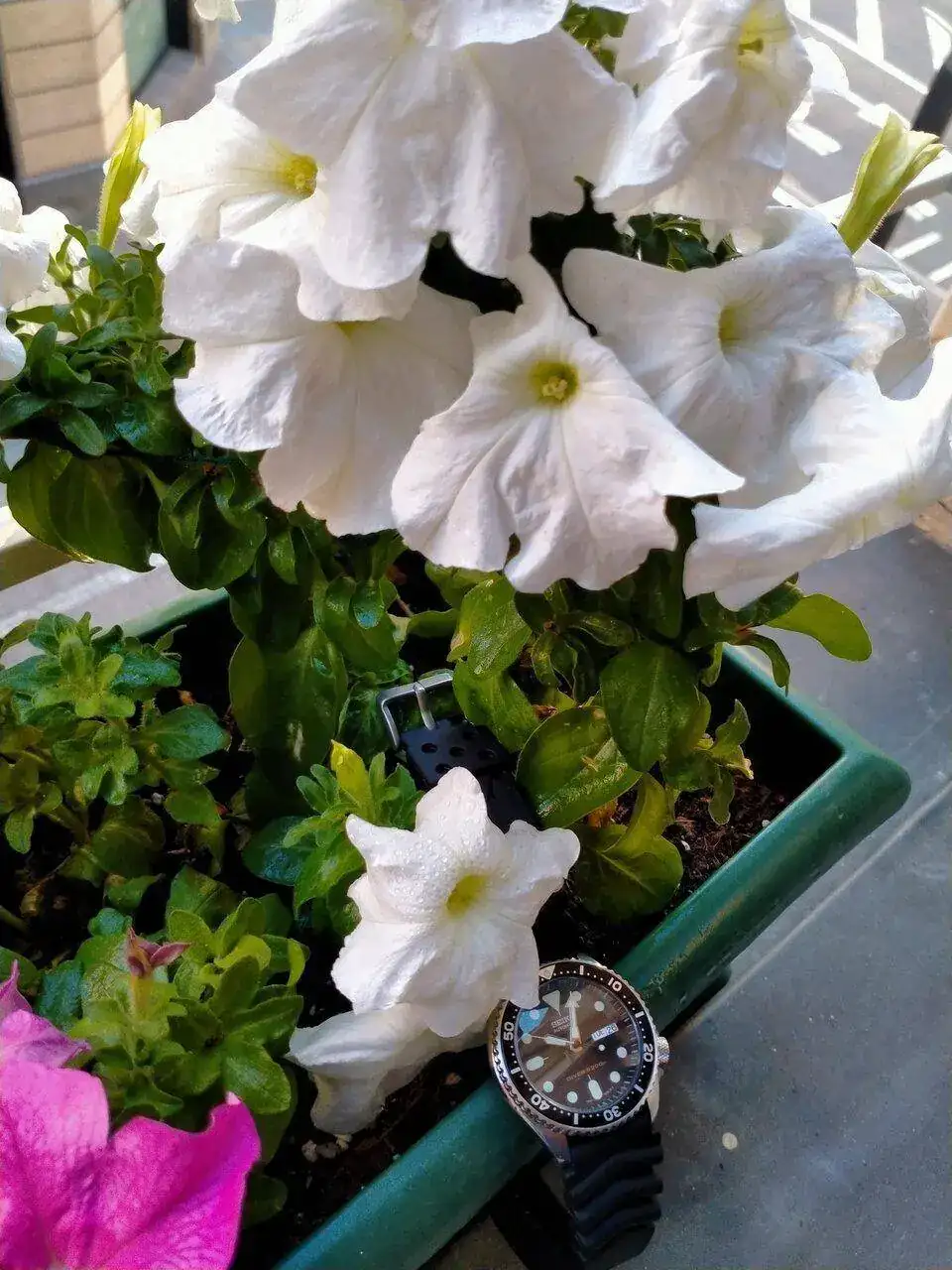 IMG20230926100436.webp
