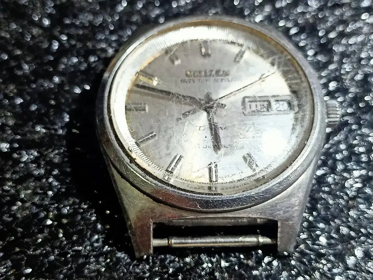 IMG20231120174209.jpg