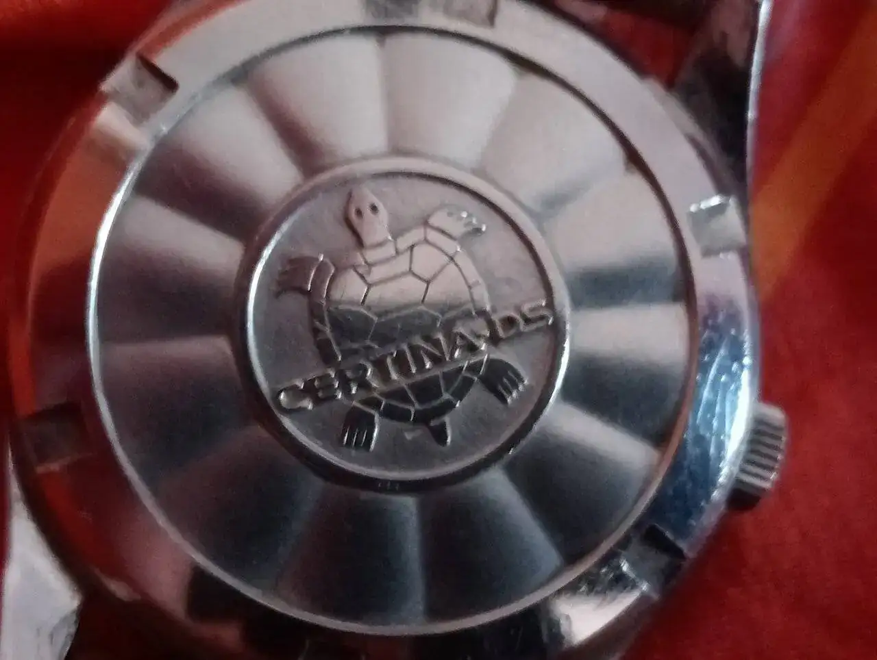 IMG20240216125823.jpg