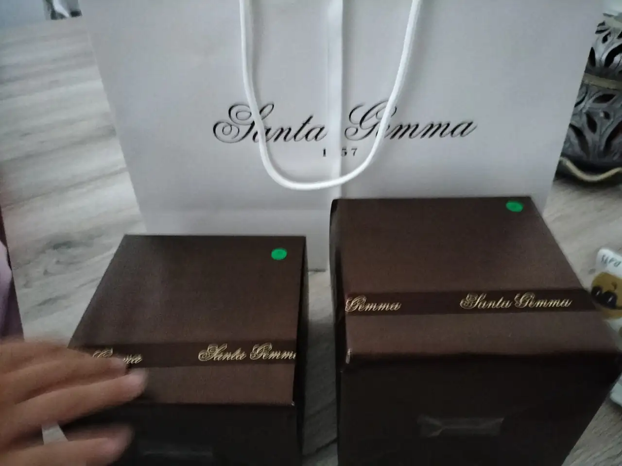 IMG20240918180455.webp