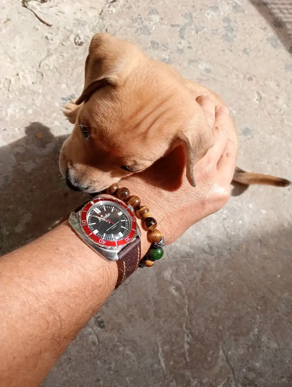 IMG20241212105456.webp