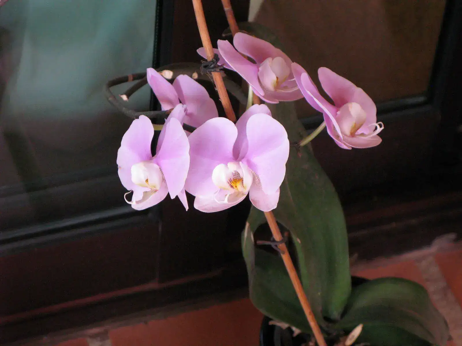IMG_0032.webp