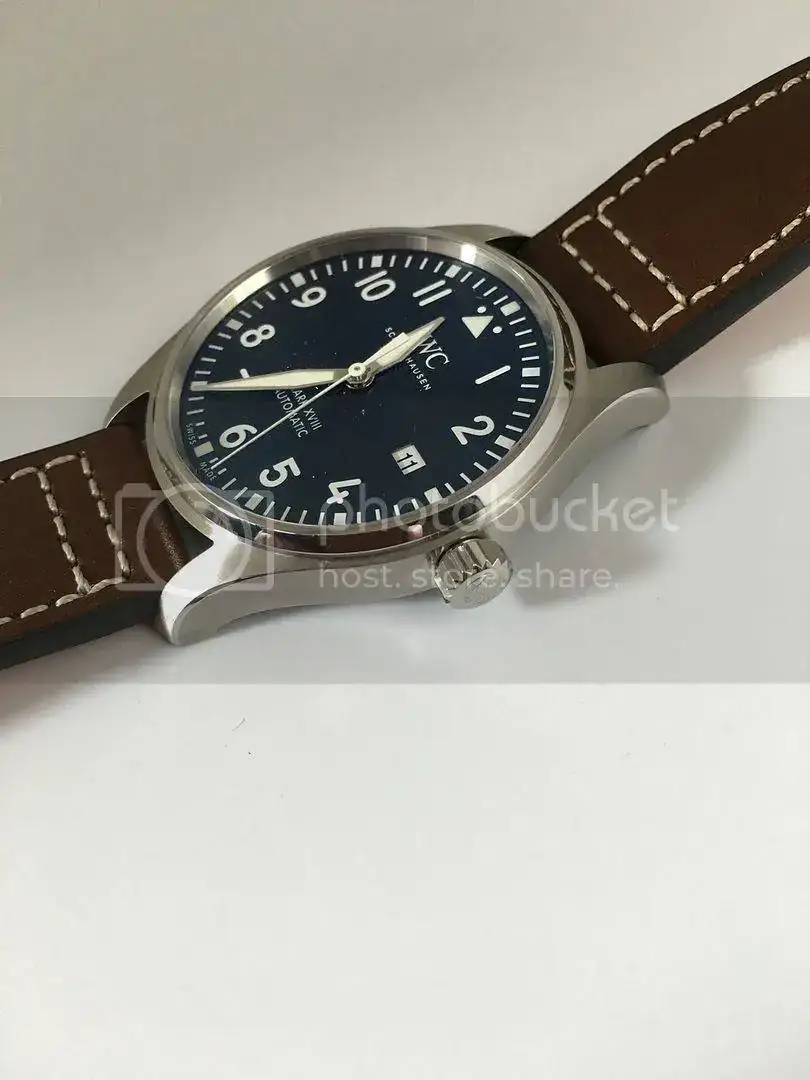 IMG_0081_zpsgrnb70za.webp