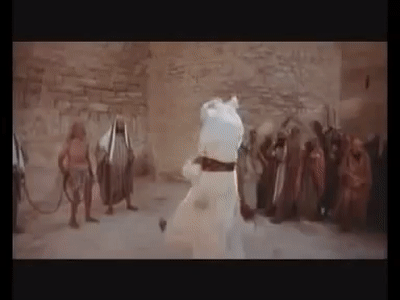 IMG_0350.gif