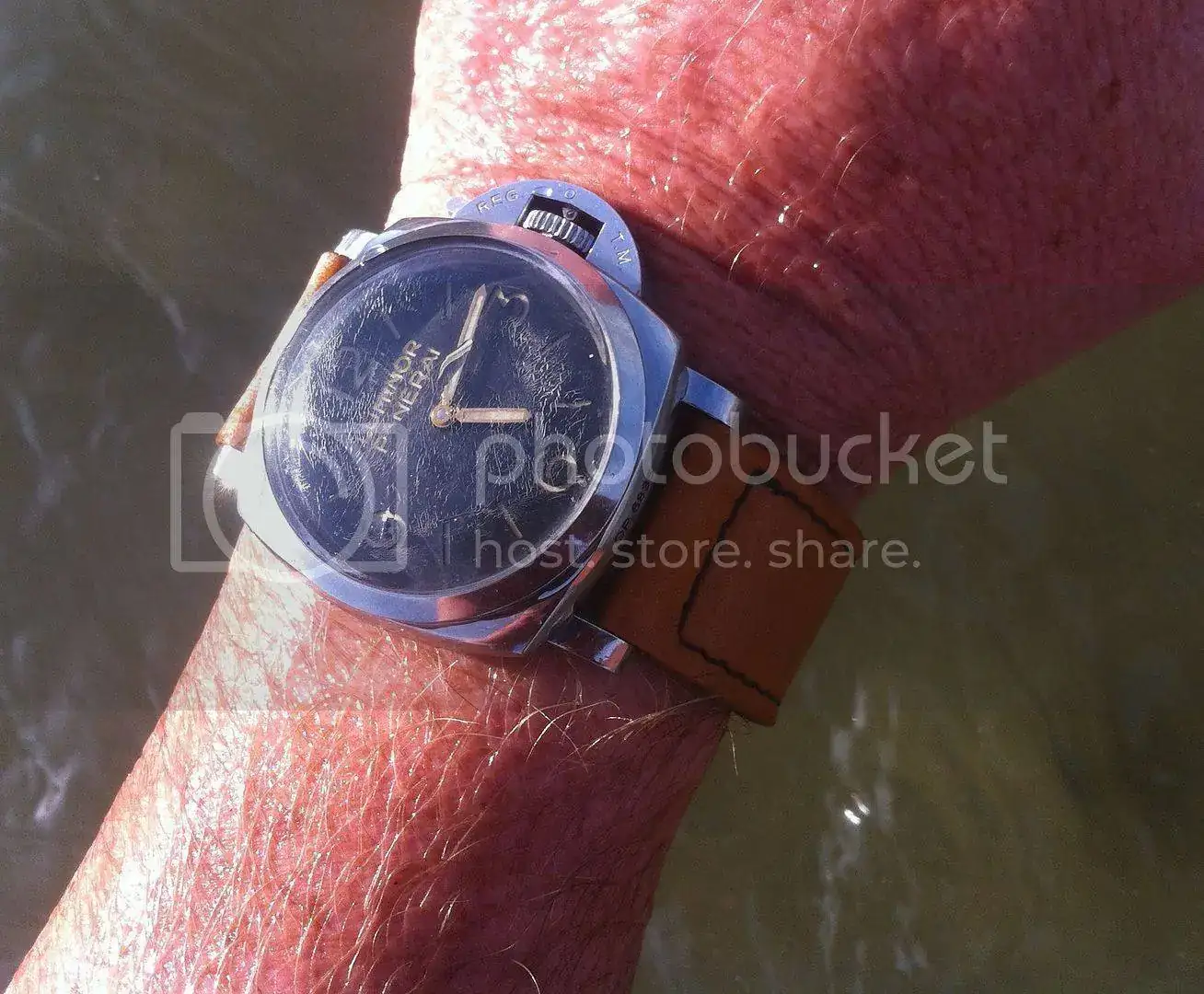 IMG_0451_zpscpvxd39e.webp