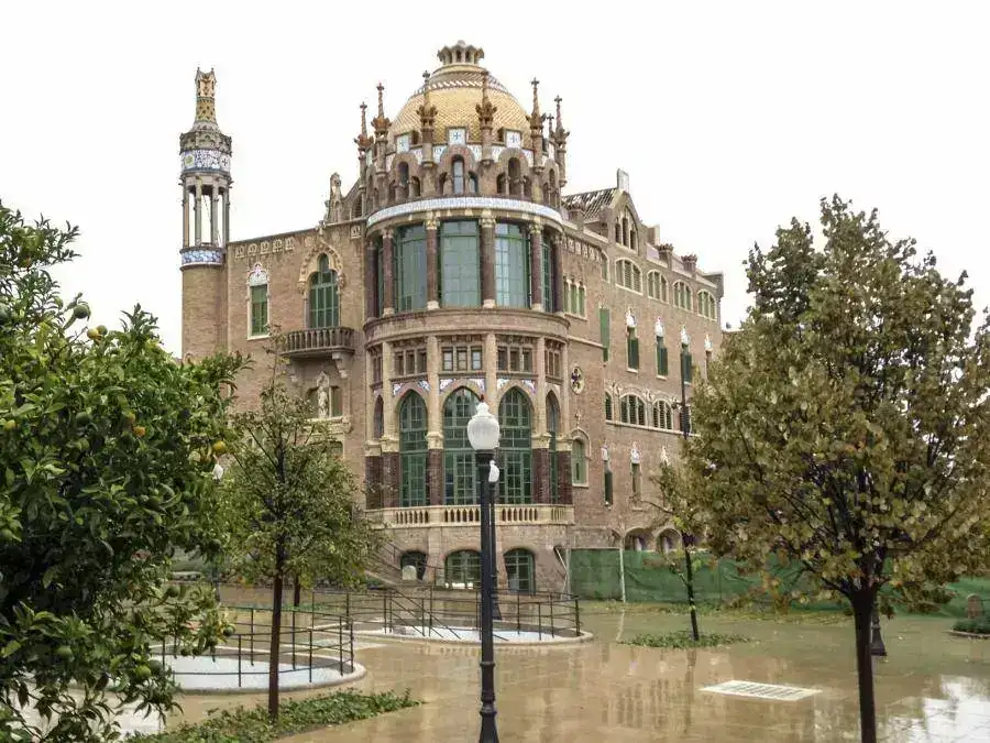 IMG_0484 (Copiar).webp