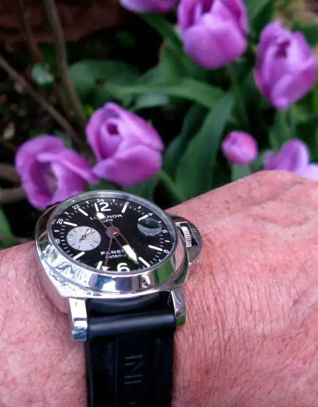 IMG_0486 RECORTE.webp