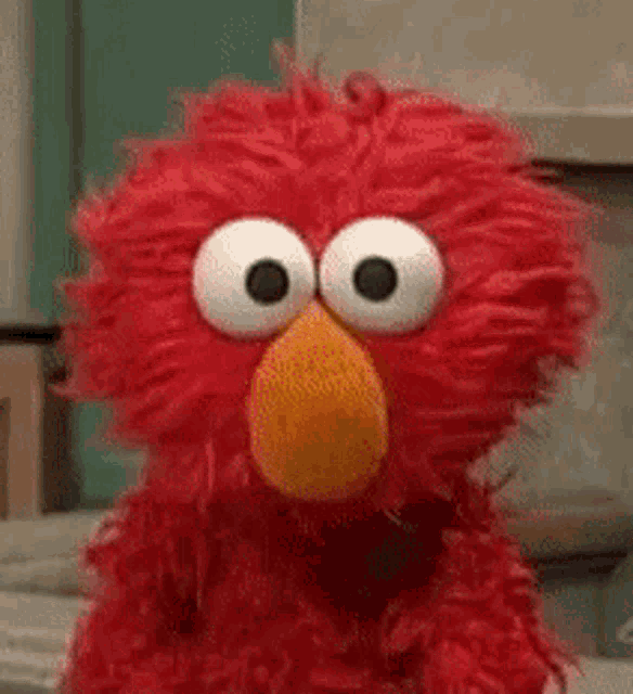 IMG_0504.GIF