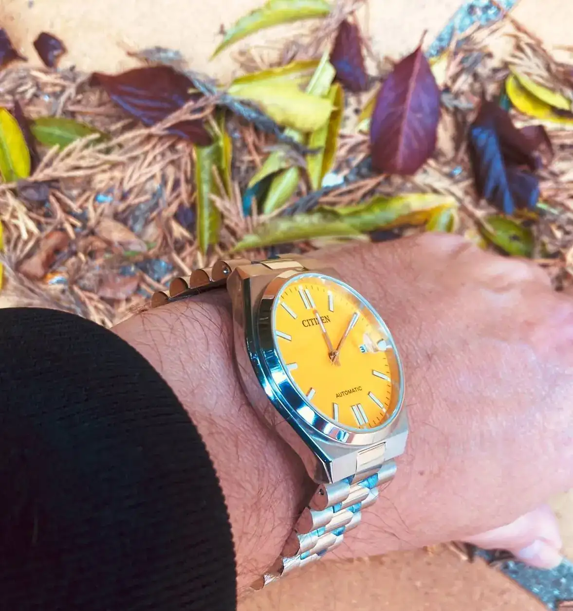 IMG_0536 - copia.webp