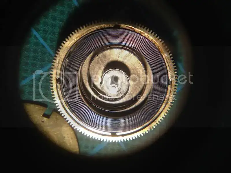 IMG_0685.webp