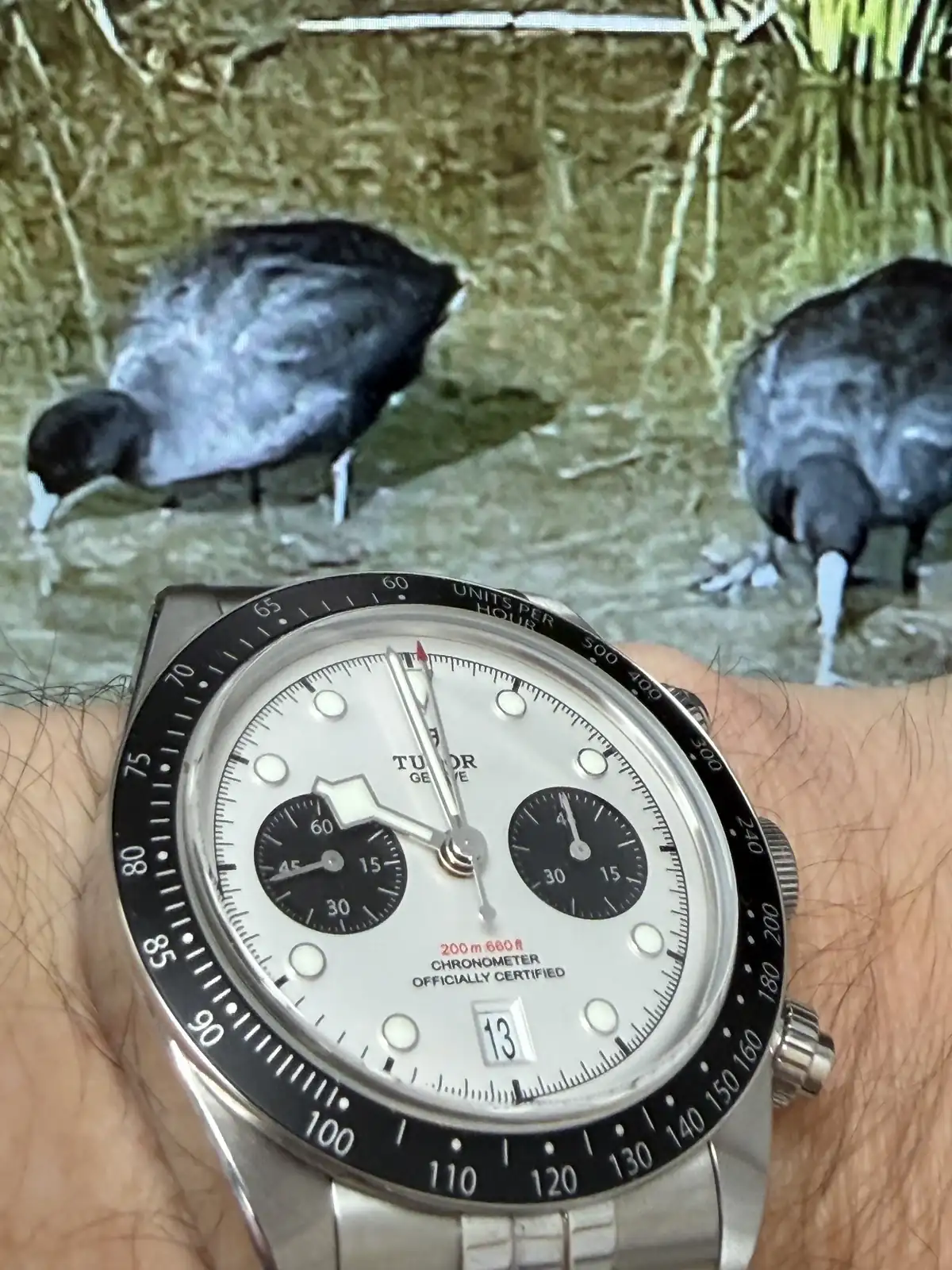 IMG_0933.webp
