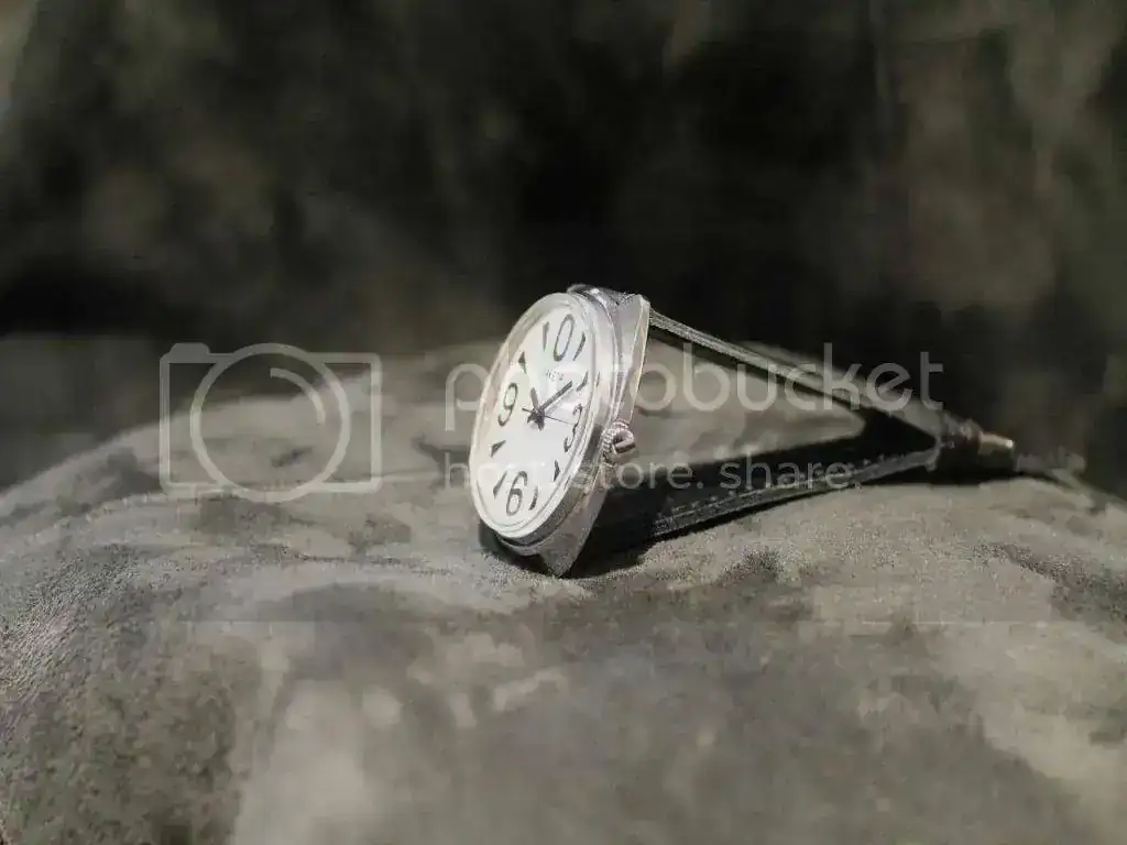 IMG_1038_zps4964240d.webp