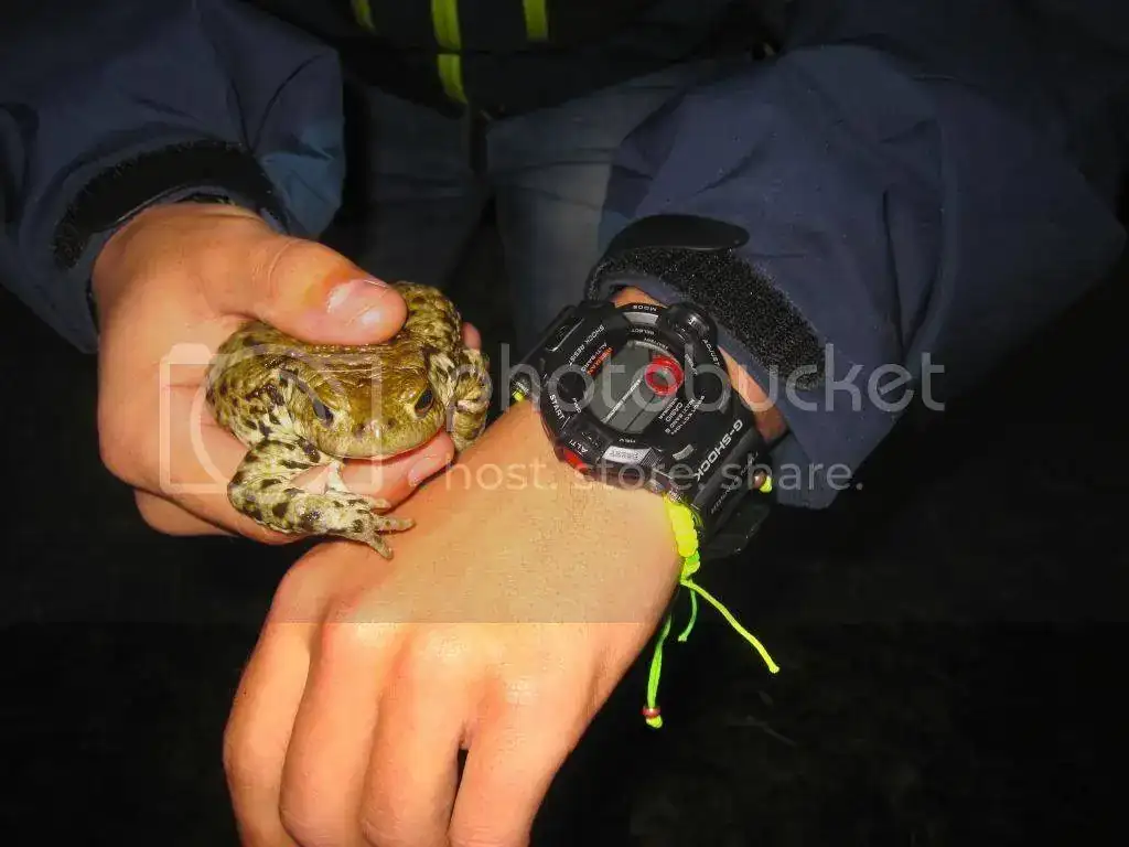IMG_1057_zpsdab0ac34.webp