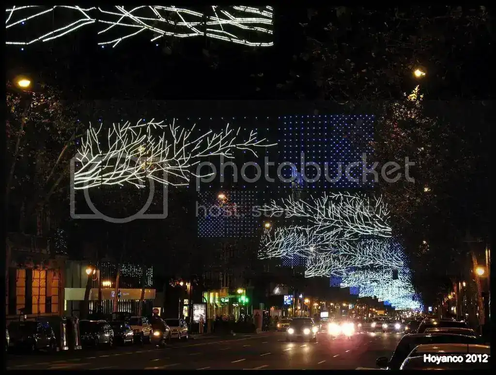 IMG_1417Copiar_zps6ab07d84.webp