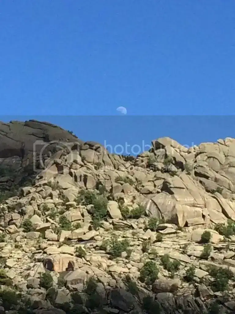 IMG_1435_zps79fb3436.webp