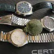 IMG_1444.webp