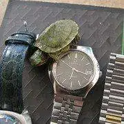 IMG_1447.webp
