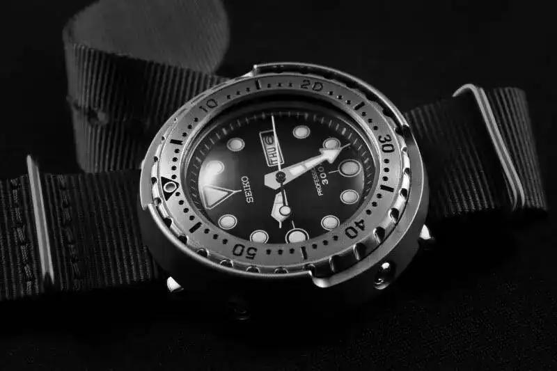 IMG_1458bw.webp
